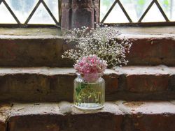 fk 28 06 Ursula Schomer  Blume in Vase